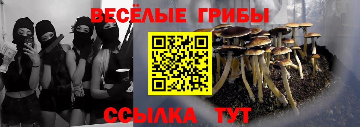 Галлюциногенные грибы Psilocybine cubensis Сухой Лог